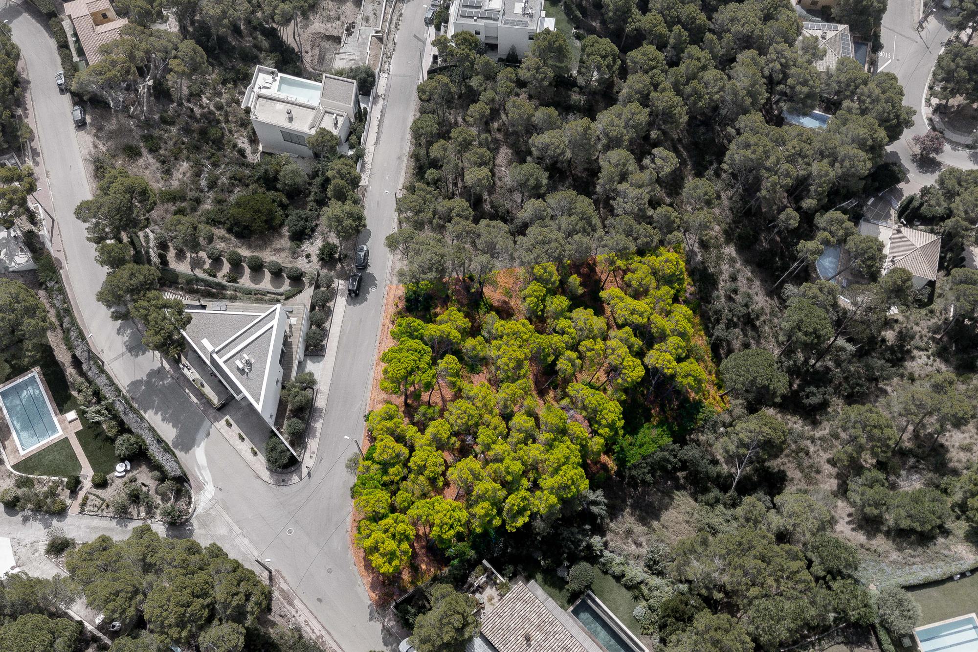 living - Parcela de 1,610m² en venta en Tamariu, Costa Brava - gallery thumbnail - 5