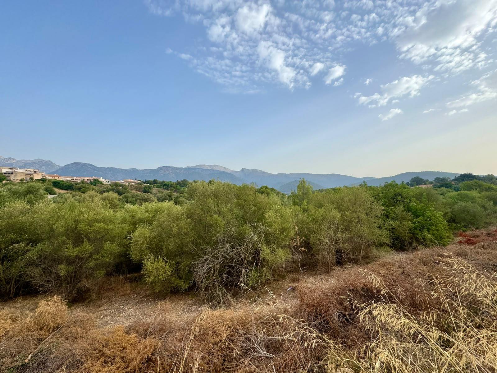living - 347m² plot with 347m² garden for sale in Campanet - gallery thumbnail - 1