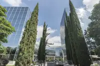 office - CMS Business Park - Edificio 14 - Office - Dils - gallery thumbnail - 3