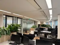 office - Pharos - Office - Dils - gallery thumbnail - 27