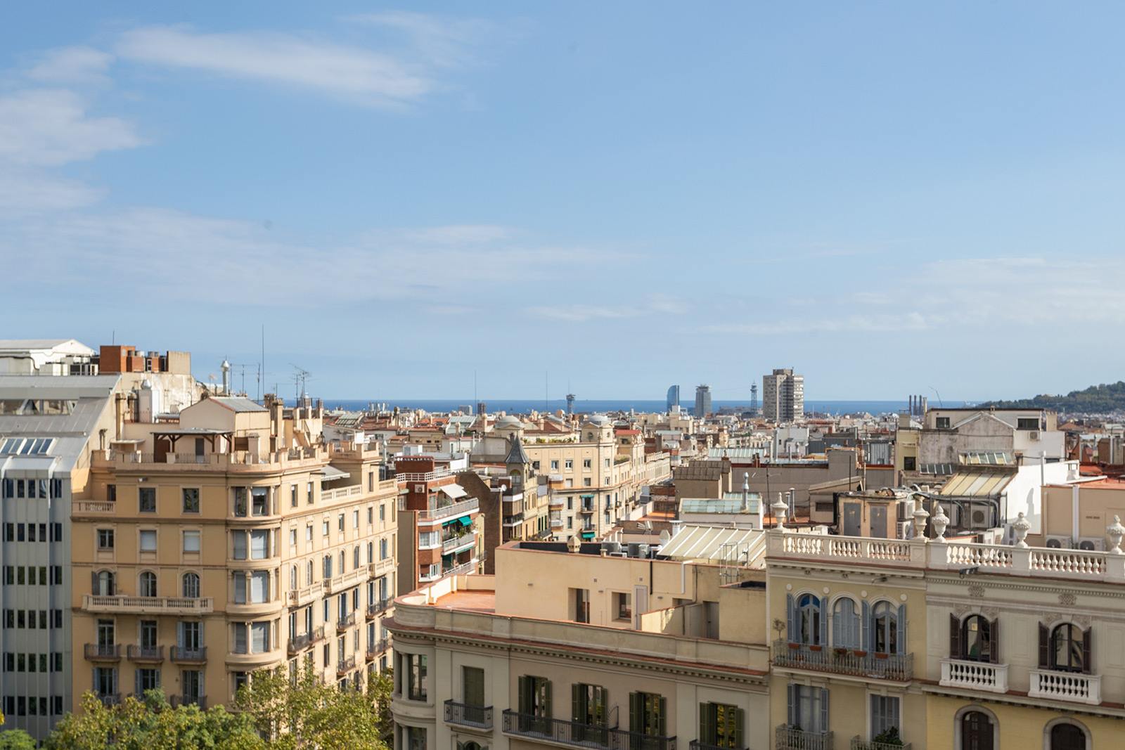 living - 259m² apartment with 84m² terrace for sale in Turó Park - gallery thumbnail - 4