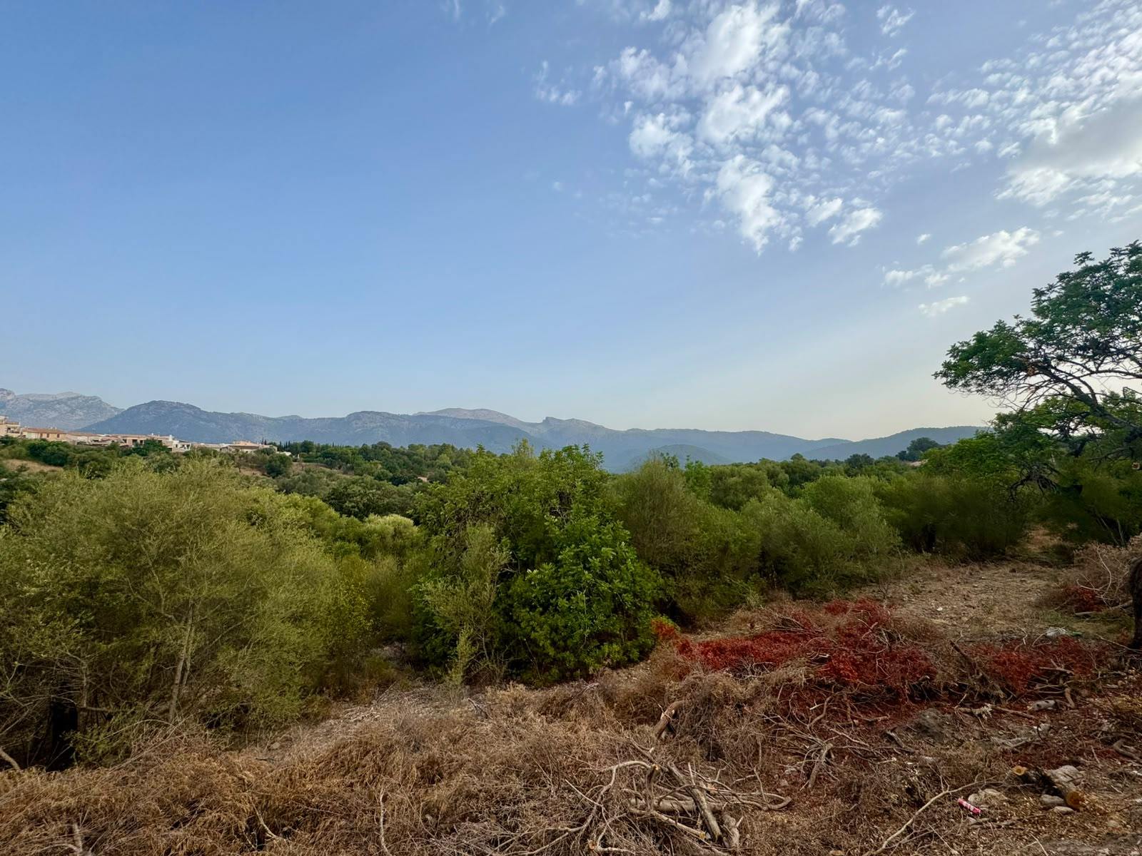 living - 997m² plot with 997m² garden for sale in Campanet - gallery thumbnail - 6