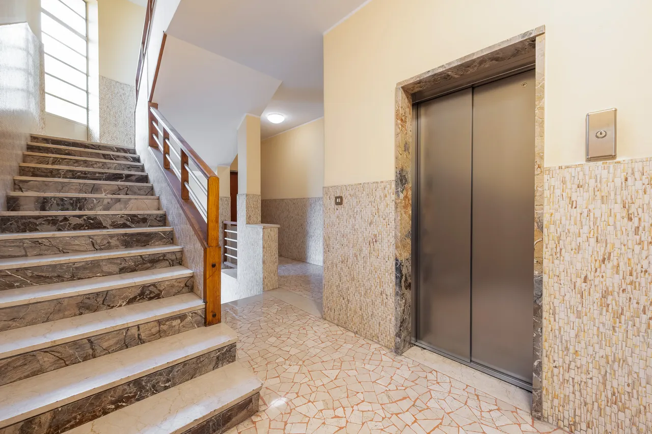 living - Silva 43 - Living - Dils - gallery - 12