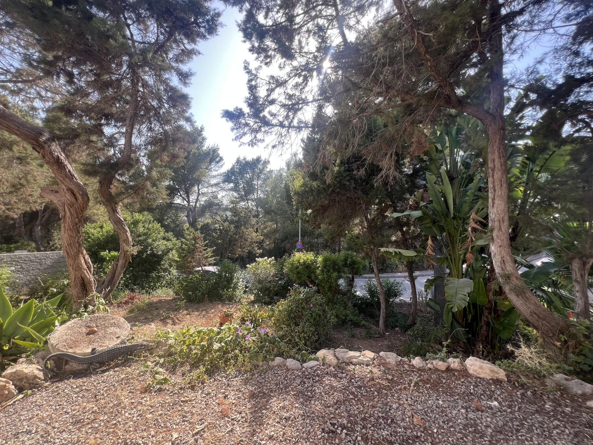 living - Casa rural de 84m² en venta en San Juan, Islas Baleares - gallery thumbnail - 6