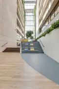 office - Campus Sanchinarro - Bureaux - Dils - gallery thumbnail - 10