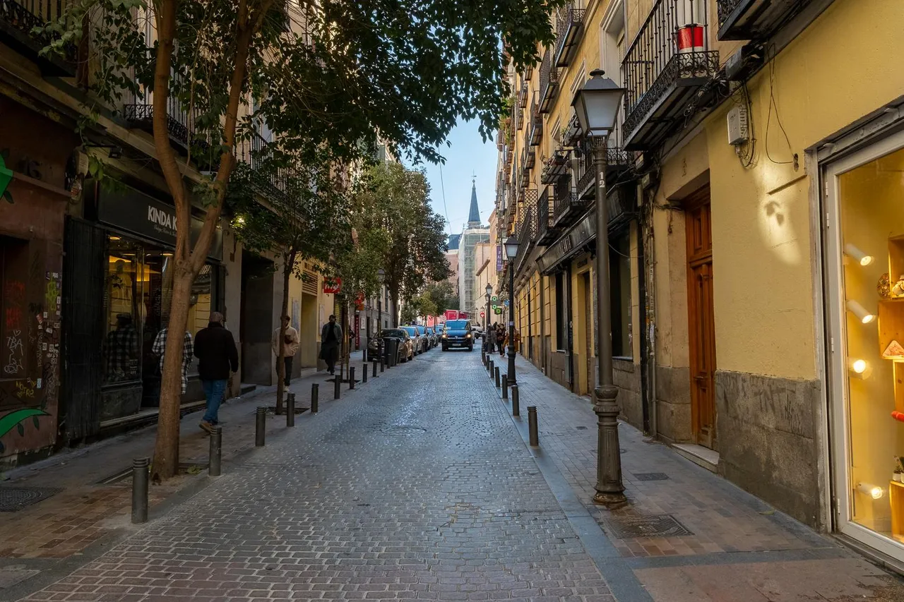 living - 137m² apartment for sale in Malasaña, Madrid - gallery - 9