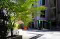 office - Maria de Molina 40 - Oficinas - Dils - gallery thumbnail - 11