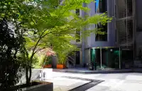 office - Maria de Molina 40 - Oficinas - Dils - gallery thumbnail - 11