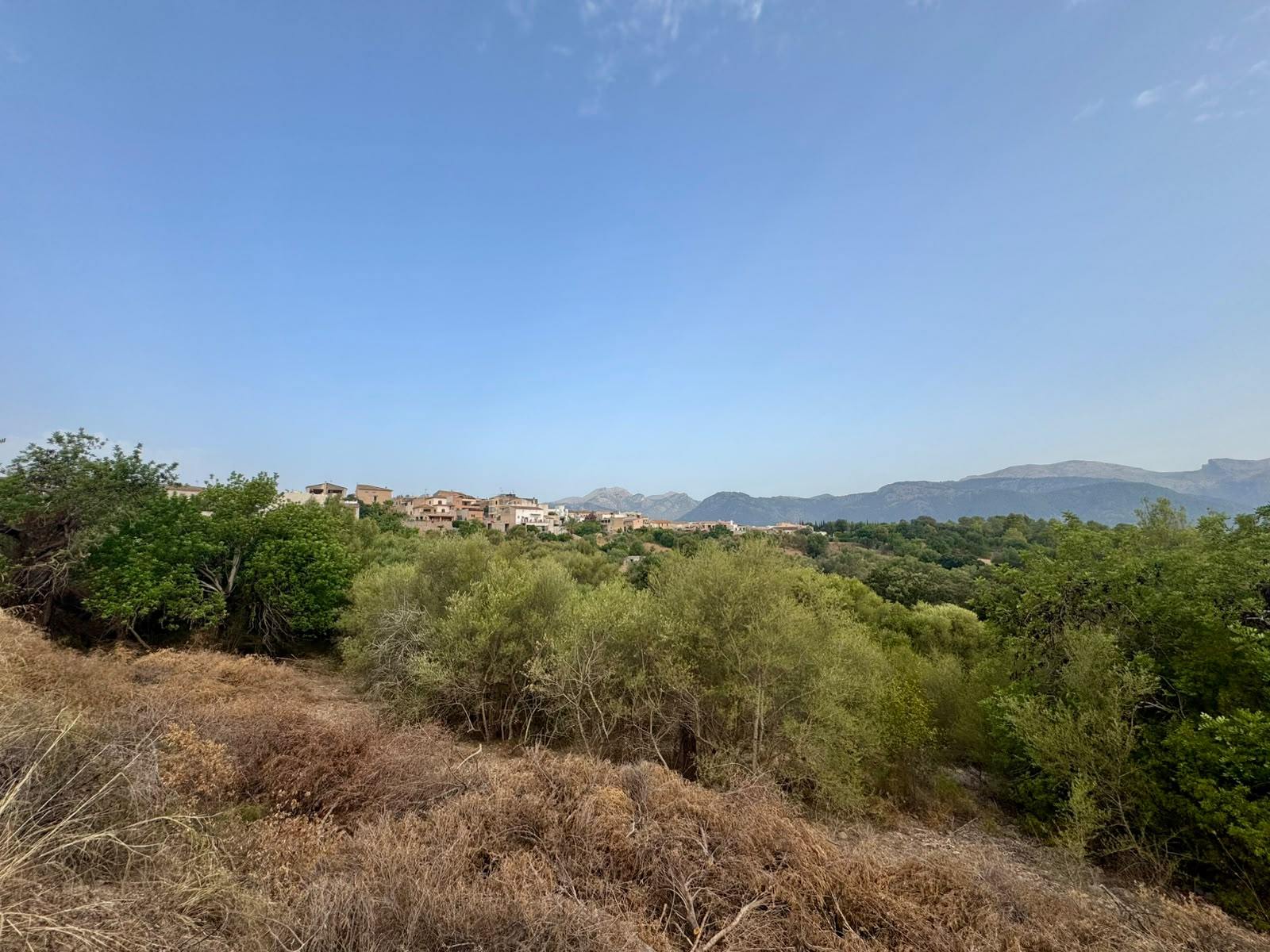 living - 347m² plot with 347m² garden for sale in Campanet - gallery thumbnail - 2