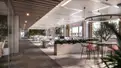 office - Maxima - Amba Aradam 5 - Office - Dils - gallery thumbnail - 4