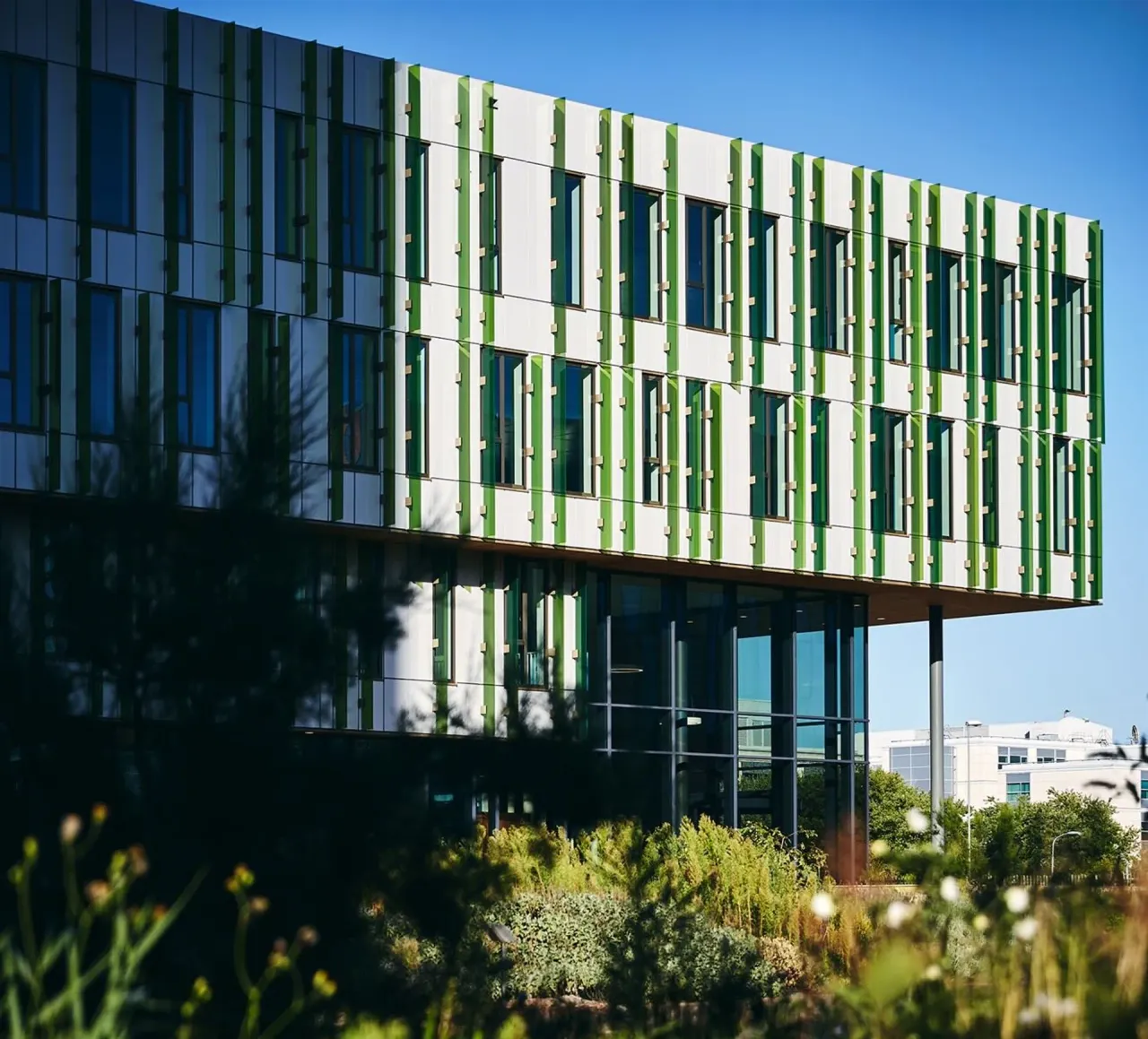 office - Share Building - Office - Dils - gallery - 3