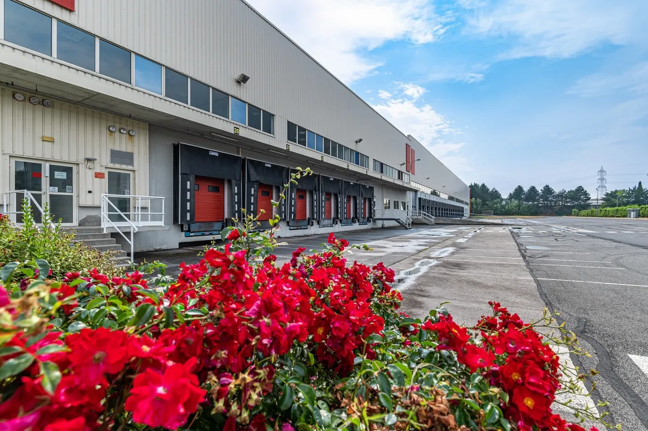 logistics - Logistics Warehouse For Rent - gallery - 7