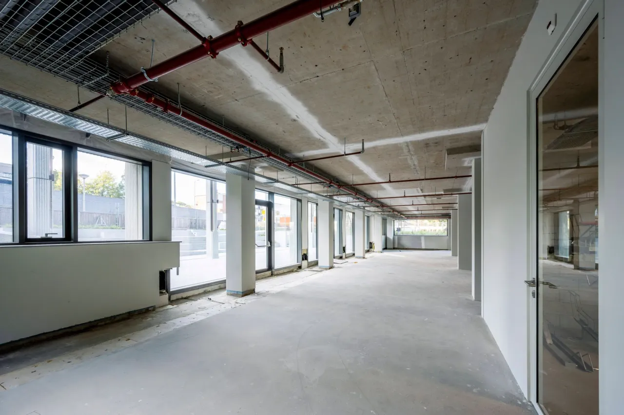 office - PI59 - Office - Dils - gallery - 13