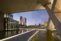 office - Symbiosis - Uffici - Dils - gallery thumbnail - 3