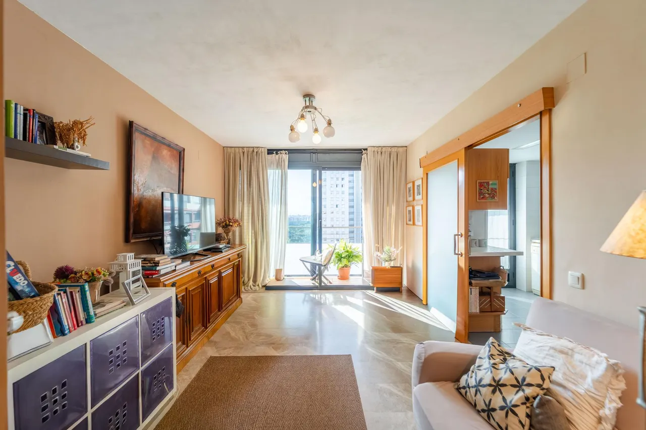 living - Ático de 163m² con 65m² terraza en venta en Ciudad de las Ciencias - gallery - 3